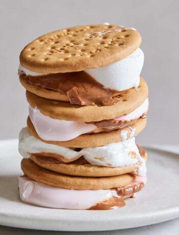 https://www.pontalo.net - BBQ smores