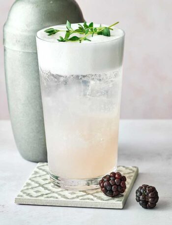 https://www.pontalo.net - Blackberry gin fizz