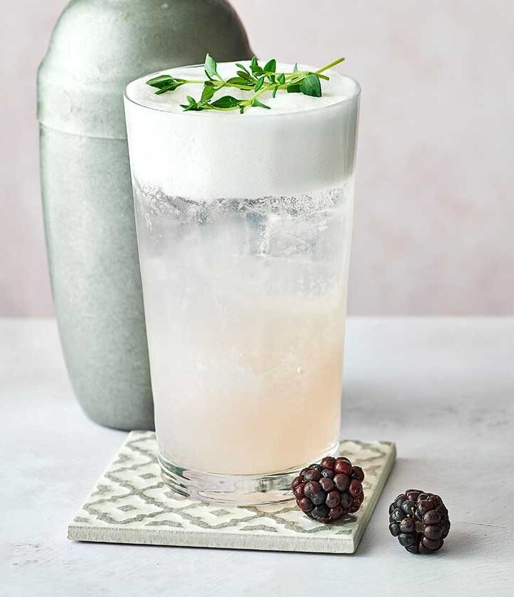 https://www.pontalo.net - Blackberry gin fizz