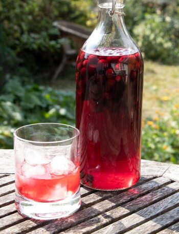 https://www.pontalo.net - Blackcurrant gin