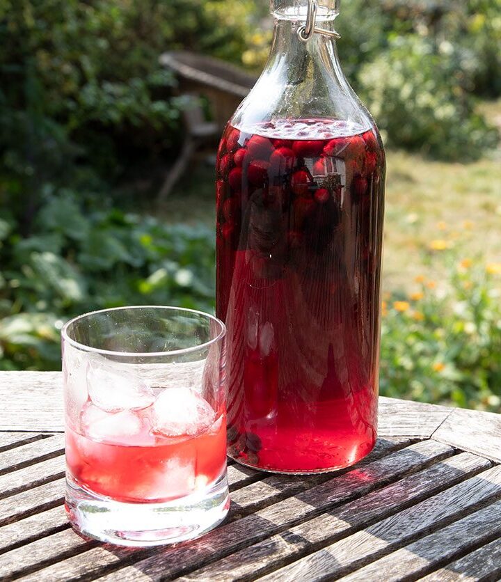 https://www.pontalo.net - Blackcurrant gin