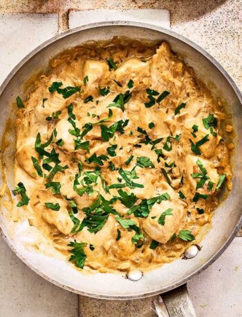 https://www.pontalo.net - Chicken stroganoff