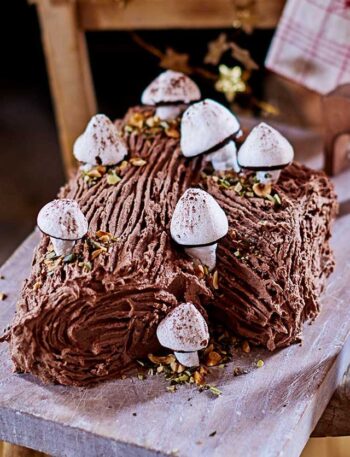 https://www.pontalo.net - Chocolate hazelnut yule log with meringue mushrooms