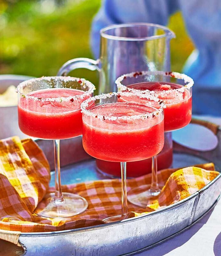 https://www.pontalo.net - Frozen watermelon margarita