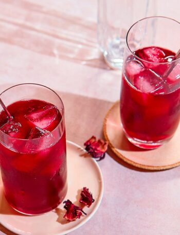 https://www.pontalo.net - Iced hibiscus tea