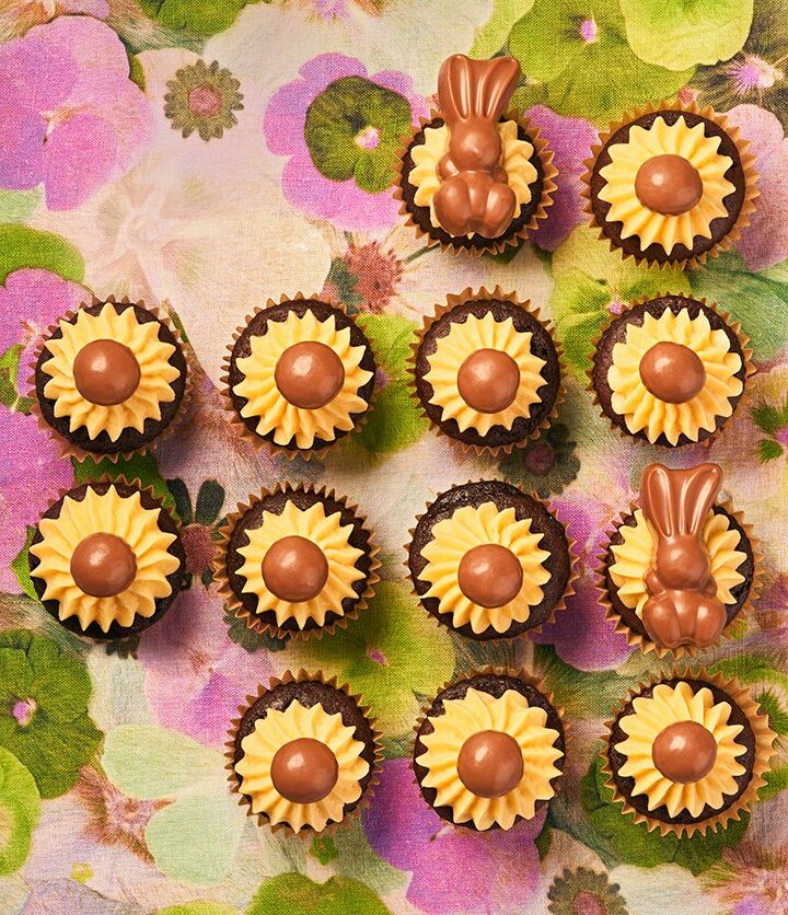 https://www.pontalo.net - Mini malt chocolate cupcakes