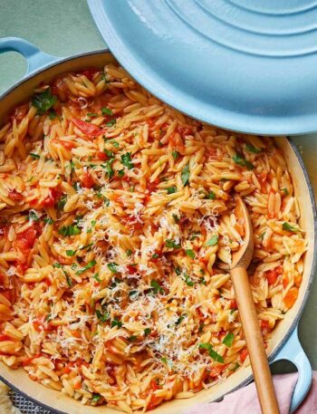 https://www.pontalo.net - One-pot tomato orzo