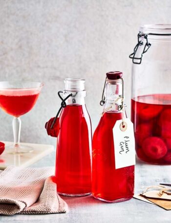 https://www.pontalo.net - Plum gin