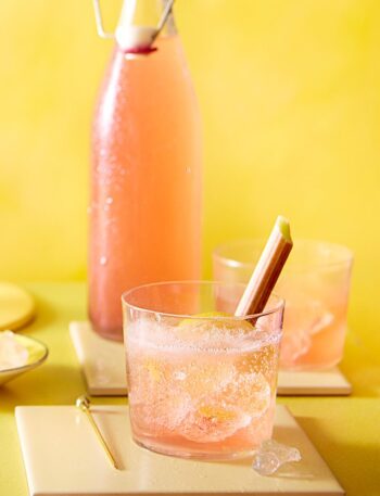 https://www.pontalo.net - Rhubarb vodka