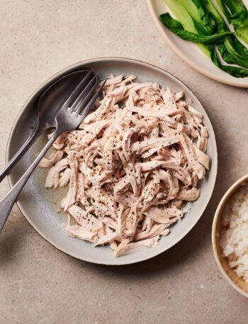 https://www.pontalo.net - Shredded chicken