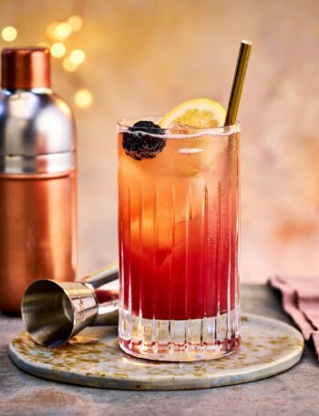 https://www.pontalo.net - Sloe gin fizz