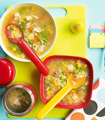 https://www.pontalo.net - Chicken and vegetable soup