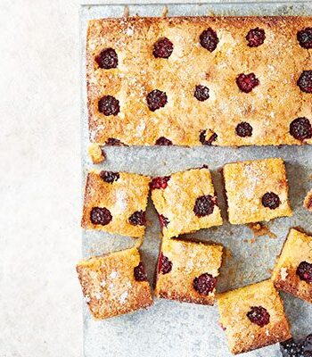 https://www.pontalo.net - Blackberry bakewell squares