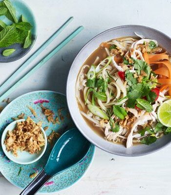 https://www.pontalo.net - Vietnamese chicken noodle soup