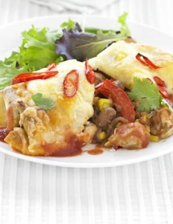 https://www.pontalo.net - Chicken enchiladas