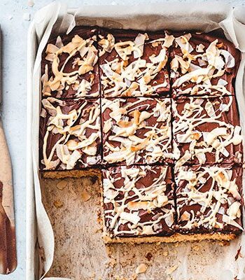 https://www.pontalo.net - Double choc & coconut traybake