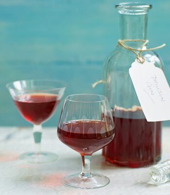 https://www.pontalo.net - Damson gin