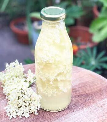 https://www.pontalo.net - Easy elderflower liqueur