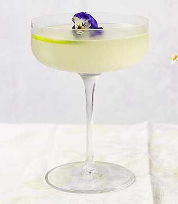 https://www.pontalo.net - Gimlet cocktail