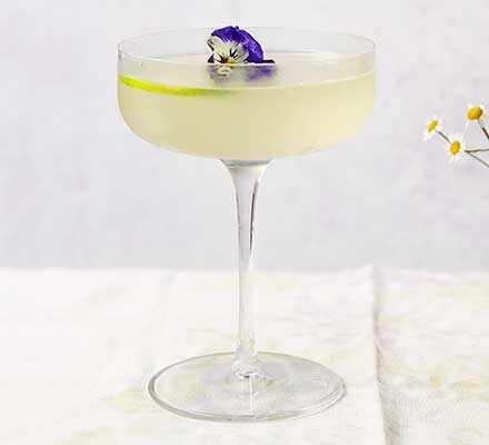 https://www.pontalo.net - Gimlet cocktail