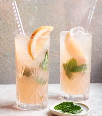 https://www.pontalo.net - Grapefruit mojitos