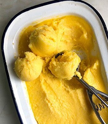 https://www.pontalo.net - Mango sorbet