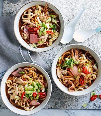 https://www.pontalo.net - One-pot Chinese chicken noodle soup