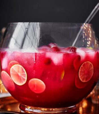 https://www.pontalo.net - Cranberry sea breeze punch