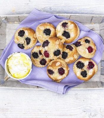 https://www.pontalo.net - Mini blackberry bakewells