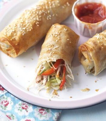 https://www.pontalo.net - Easy spring rolls