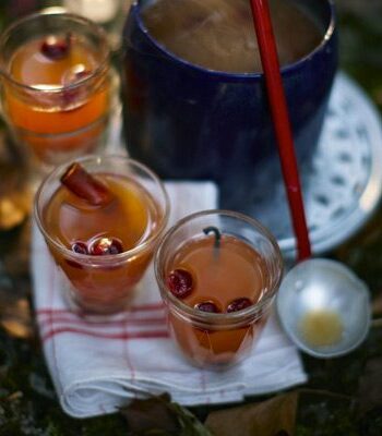 https://www.pontalo.net - Mulled pear & cranberry punch