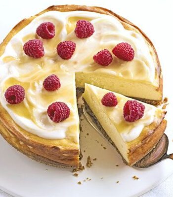 https://www.pontalo.net - Luscious lemon baked cheesecake