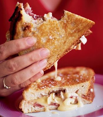 https://www.pontalo.net - Pan-fried camembert sandwich