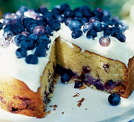 https://www.pontalo.net - Blueberry cake with cream cheese frosting