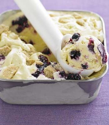 https://www.pontalo.net - Blackcurrant cheesecake ice cream