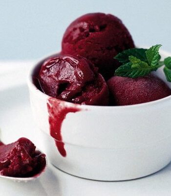 https://www.pontalo.net - Blackcurrant & mint sorbet