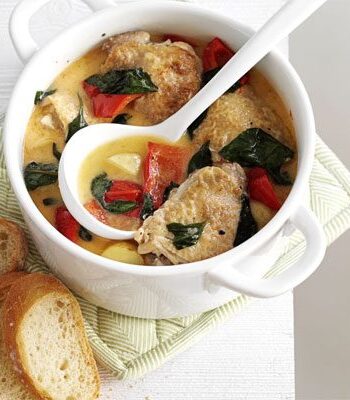 https://www.pontalo.net - Summer chicken & basil stew