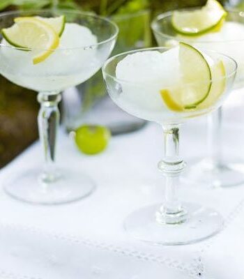 https://www.pontalo.net - Gin & tonic sorbet