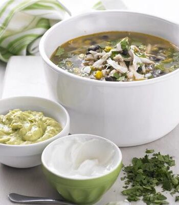 https://www.pontalo.net - Mexican chicken & wild rice soup