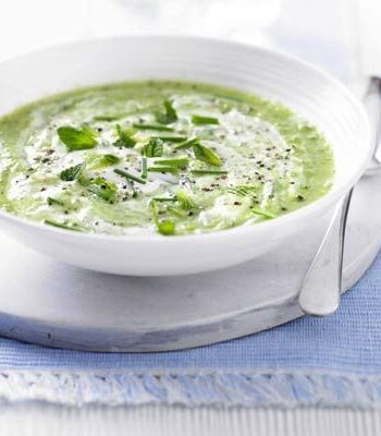 https://www.pontalo.net - Green cucumber & mint gazpacho