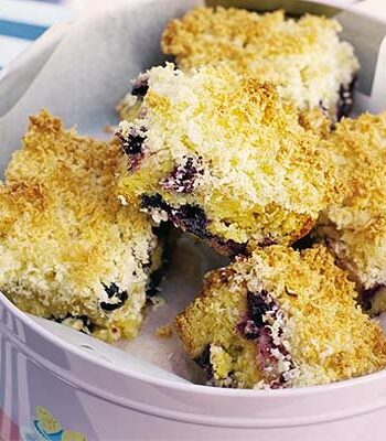 https://www.pontalo.net - Blueberry lemon cake with coconut crumble topping