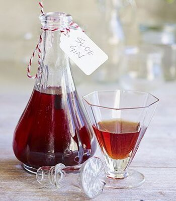 https://www.pontalo.net - Sloe gin