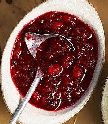 https://www.pontalo.net - Sloe gin cranberry sauce