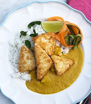 https://www.pontalo.net - Vegan katsu curry