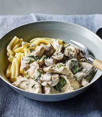 https://www.pontalo.net - Leftover turkey fricassee