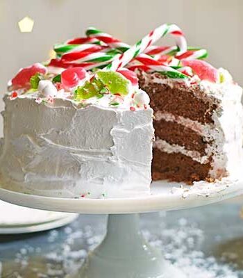 https://www.pontalo.net - Winter wonderland cake