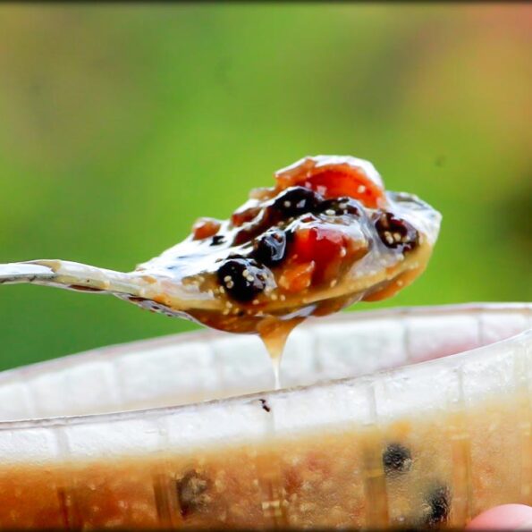 https://www.pontalo.net - Black Currant Dates Kheer Recipe